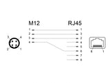 Delock Netzwerkadapter M12 D-kodiert 4 Pin Stecker zu RJ45 Buchse