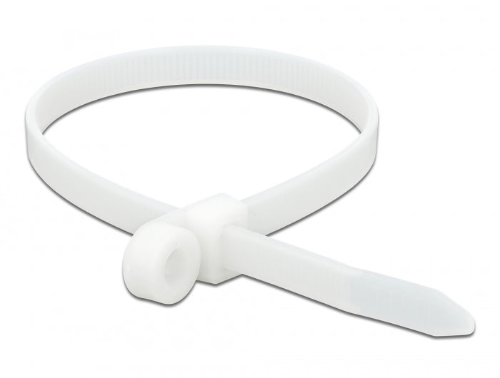 Delock Kabelbinder mit Befestigungsöse L 300 x B 7,6 mm weiß 10 Stück