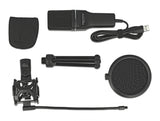 Delock USB Kondensator Mikrofon Set - für Podcasting, Gaming und Gesang