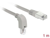 Delock Netzwerkkabel RJ45 Cat.6A S/FTP unten gewinkelt / gerade 1 m