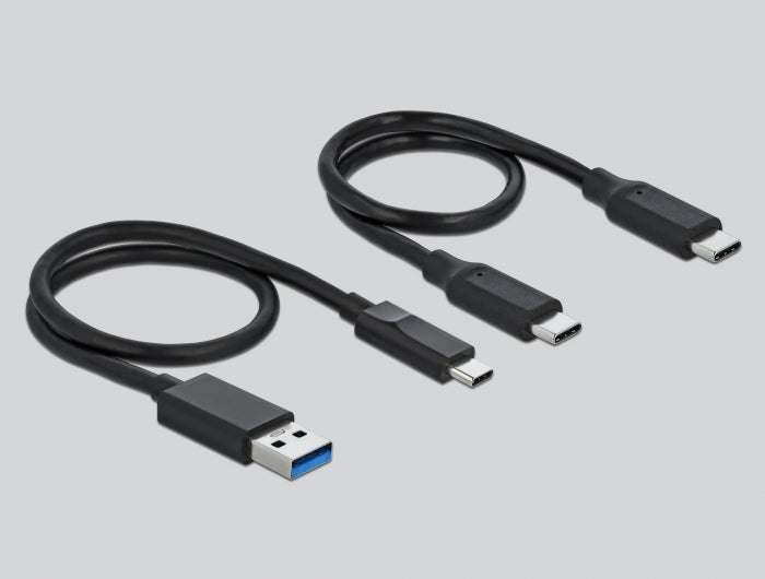 Delock USB Type-C™ Card Reader für CFast und SD Speicherkarten + USB Hub mit Typ-A und USB Type-C™ Port