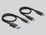 Delock USB Type-C™ Card Reader für CFast und SD Speicherkarten + USB Hub mit Typ-A und USB Type-C™ Port