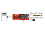Delock Adapter M.2 Key M > SFF-8643 NVMe