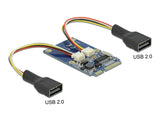 Delock Mini PCIe I/O full size 2 x USB 2.0 Typ-A Buchse
