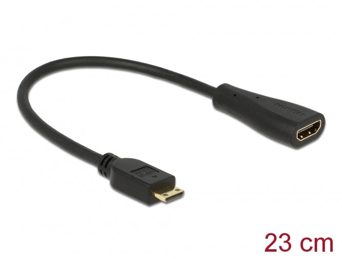 Delock Kabel High Speed HDMI mit Ethernet - mini C Stecker > A Buchse