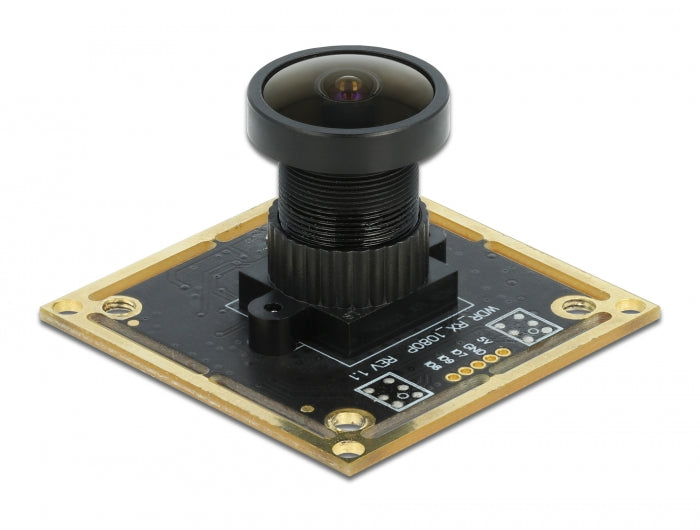 Delock USB 2.0 Kameramodul mit Wide Dynamic Range 1,92 Megapixel 120° V6 Fixfokus