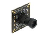 Delock USB 2.0 Kameramodul mit Global Shutter schwarz / weiß 0,92 Megapixel 36° V6 Fixfokus