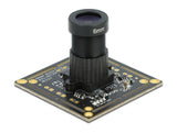 Delock USB 2.0 Kameramodul mit Global Shutter schwarz / weiß 0,92 Megapixel 36° V6 Fixfokus