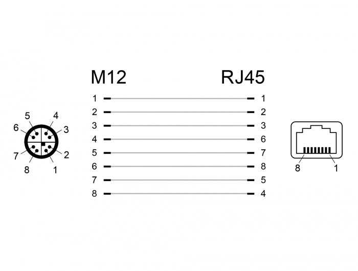 Delock Netzwerkadapter M12 X-kodiert 8 Pin Stecker zu RJ45 Buchse