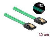 Delock SATA 6 Gb/s Kabel UV Leuchteffekt grün 30 cm