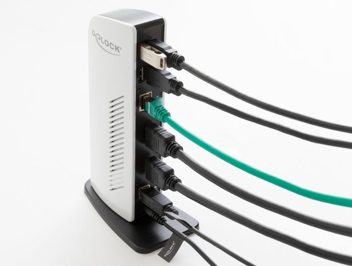 Delock USB Dockingstation Dual HDMI Full-HD / USB 3.2 / LAN / Audio