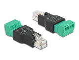 Delock Adapter RJ11/14 Stecker zu Terminalblock 4 Pin 2-teilig