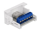 Delock Easy 45 Modul USB 2.0 Typ-A Buchse zu Terminalblock 22,5 x 45 mm