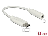 Delock Audio Adapter USB Type-C™ Stecker > Klinkenbuchse 14 cm