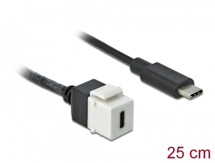Delock Keystone Modul USB 5 Gbps Type-C™ Buchse zu USB Type-C™ Stecker mit Kabel 25 cm