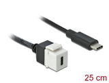 Delock Keystone Modul USB 5 Gbps Type-C™ Buchse zu USB Type-C™ Stecker mit Kabel 25 cm