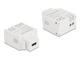 Delock Keystone Modul mit USB Type-C™ Ladebuchse 10,5 W weiß