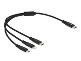 Delock USB Ladekabel 3 in 1 USB Type-C™ zu Lightning™ / Micro USB / USB Type-C™ 30 cm