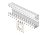 Delock Easy 45 Modulträger für Geräteeinbaukanal 85 x 80 mm