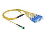 Delock LWL Kabel MPO Buchse zu 12 x SC Simplex Stecker, Singlemode, 9/125 µm, 2 m