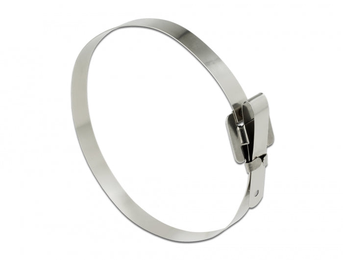 Delock Edelstahlkabelbinder wiederverwendbar mit Faltverschluss L 250 x B 10 mm 10 Stück