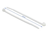 Delock Kabelbinder transparent L 100 x B 2,5 mm 100 Stück