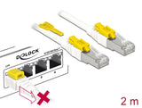 Delock Kabel RJ45 Secure Cat.6A 2 m