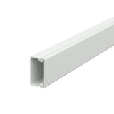 BETTERMANN Leitungsführungskanal Kst lgr WDKH-15030LGR 17,5x30x2000mm RAL7035