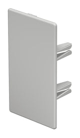 BETTERMANN Endstück LF-K 60x110mm li/re WDKH-E60110LGR Kst hfr hfr lgr RAL7035