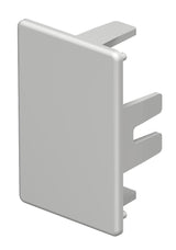 BETTERMANN Endstück LF-K 30x45mm li/re WDK HE30045LGR Kst lgr RAL7035 unbeh