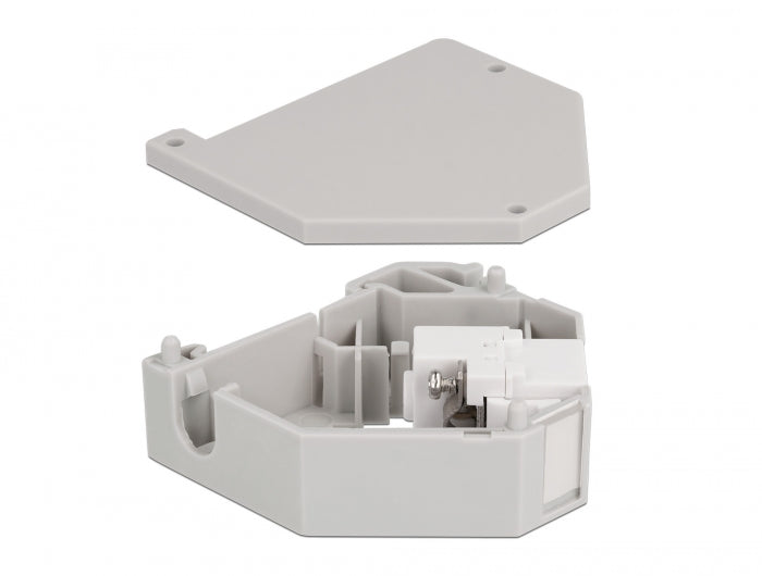Delock Hutschienenadapter mit Keystone IEC Buchse zu Terminalblock