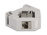 Delock Hutschienenadapter mit Keystone Modul RJ45 Buchse Cat.6A LSA