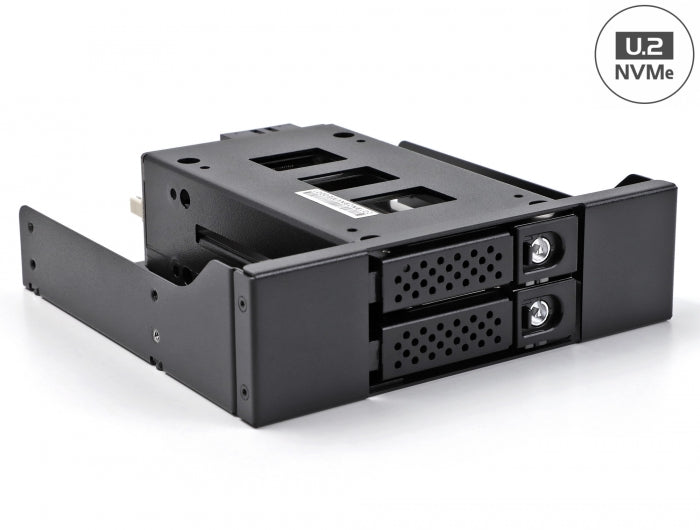 Delock Slim Bay Wechselrahmen für 2 x 2.5″ U.2 NVMe SSD mit 5.25″ Rahmen