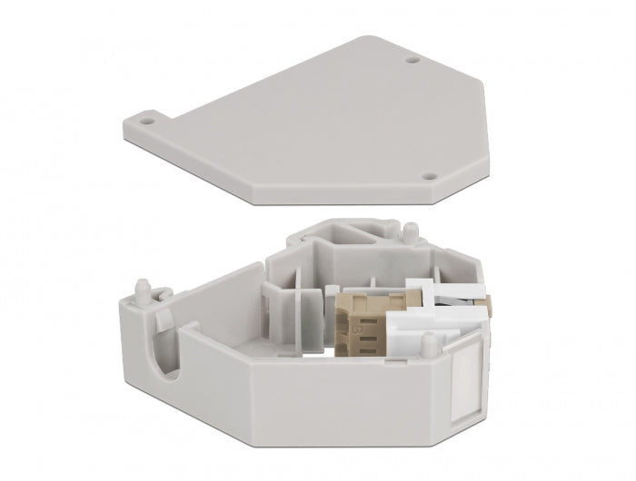 Delock Hutschienenadapter mit Keystone LC Duplex Buchse zu LC Duplex Buchse beige