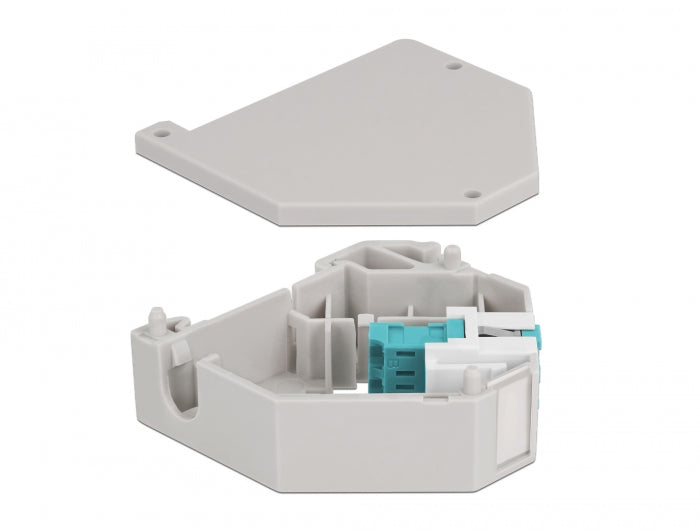 Delock Hutschienenadapter mit Keystone LC Duplex Buchse zu LC Duplex Buchse aqua