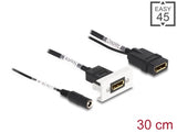 Delock Easy 45 DisplayPort 4K 60 Hz Modul mit DC Einspeisung 2,1 x 5,5 mm und Kabelpeitsche, 22,5 x 45 mm