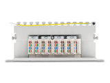 Delock 10″ Patchpanel 8 Port Cat.6A 1 HE grau