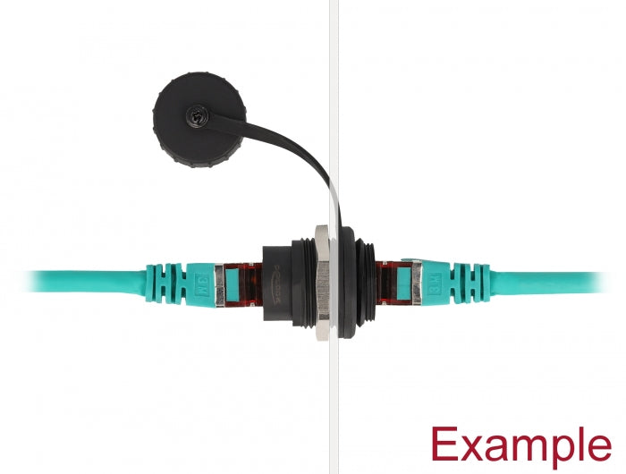 Delock RJ45 Cat.6 Einbaubuchse mit Staubschutzkappe