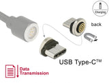 Delock Magnetischer Adapter USB Type-C™ Stecker