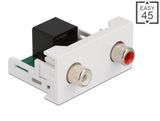 Delock Easy 45 Modul 2 x Cinch Buchse zu RJ45 Buchse 22,5 x 45 mm