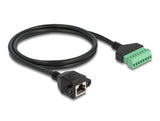 Delock RJ45 Kabel Cat.6 Buchse zu Terminalblock Adapter zum Einbau 1 m 2-teilig