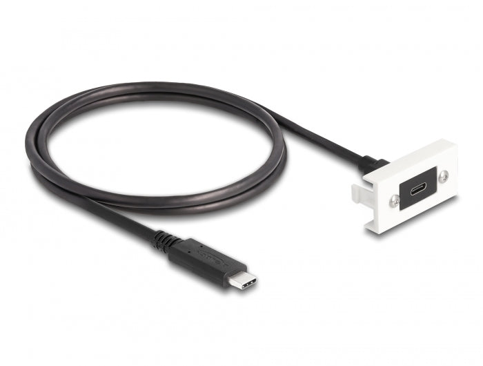 Delock Easy 45 Modul SuperSpeed USB 10 Gbps (USB 3.2 Gen 2) USB Type-C™ Buchse zu USB Type-C™ Stecker mit Kabelpeitsche, 22,5 x 45 mm