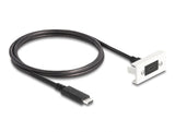 Delock Easy 45 Modul SuperSpeed USB 10 Gbps (USB 3.2 Gen 2) USB Type-C™ Buchse zu USB Type-C™ Stecker mit Kabelpeitsche, 22,5 x 45 mm
