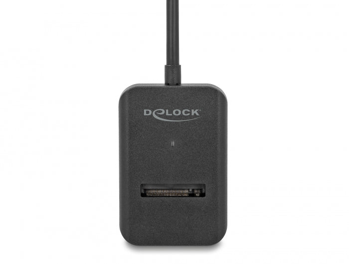Delock Combo Konverter für M.2 NVMe PCIe oder SATA SSD mit USB Type-C™ 10 Gbps