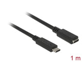Delock USB 10 Gbps Verlängerungskabel USB Type-C™ Stecker zu Buchse 1 m 4K PD 60 W