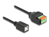 Delock USB 2.0 Kabel Typ-B Buchse zu Terminalblock Adapter mit Drucktaster 15 cm