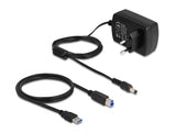 Delock USB Dual Dockingstation für 2 x SATA HDD / SSD mit Klon- und Löschfunktion