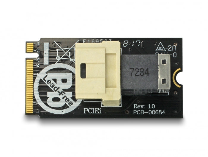 Delock Adapter M.2 Key M > SFF-8643 NVMe horizontal 2242
