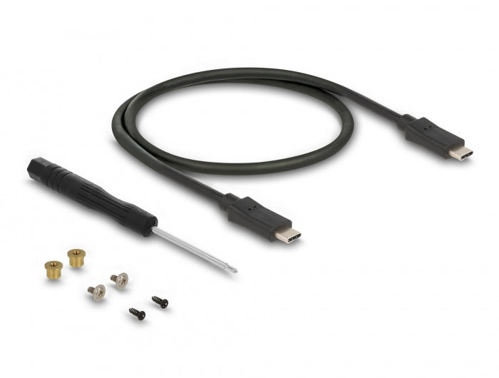 Delock Externes Gehäuse für M.2 SATA SSD mit USB Type-C™ Buchse