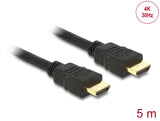 Delock Kabel High Speed HDMI mit Ethernet – HDMI A Stecker > HDMI A Stecker 4K 5 m